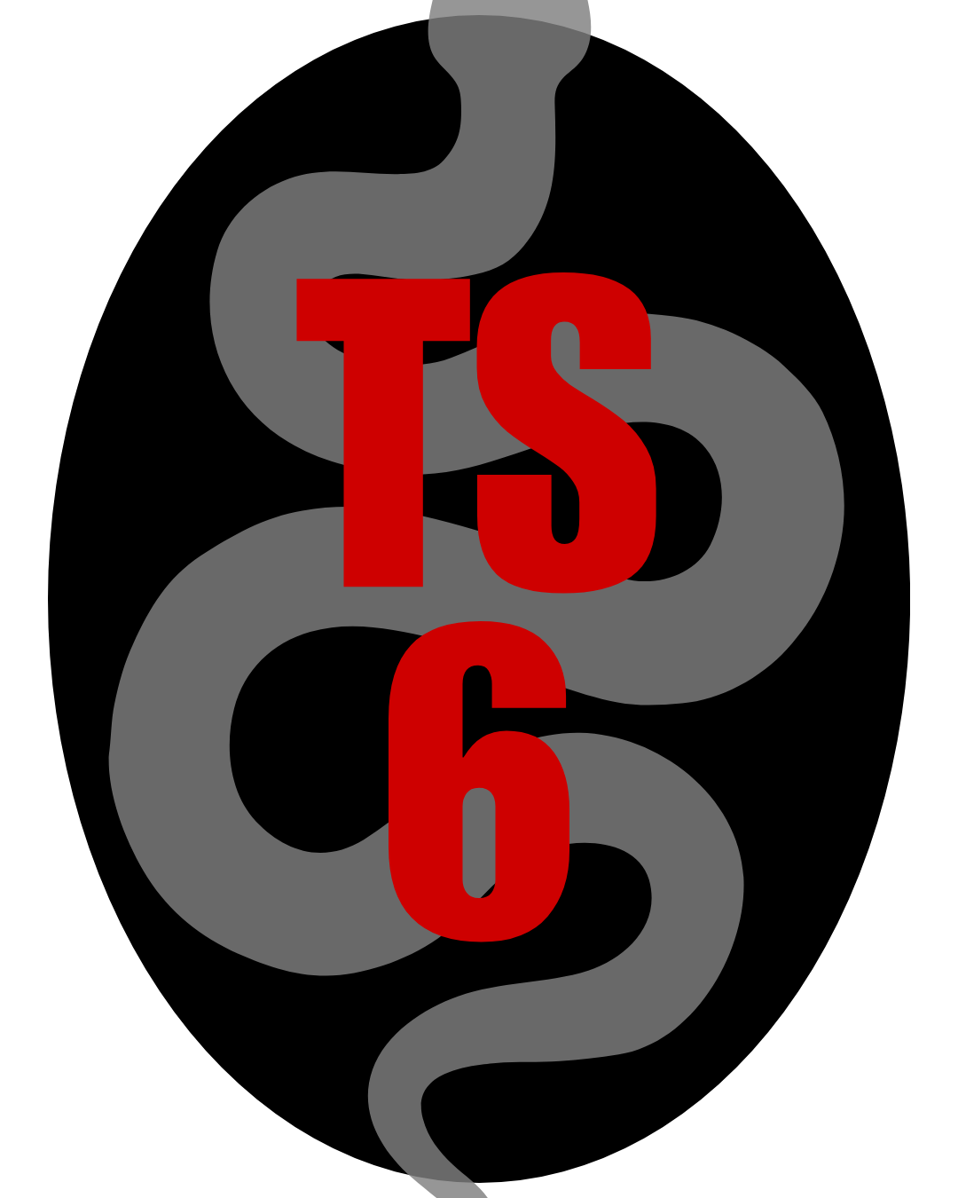 TS 6 DIGITAL CHART