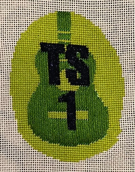 TS 1 Printed Canvas
